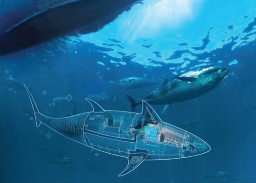Imagine a robotic fish that defends against underwater threats