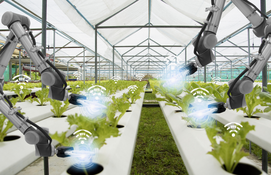 Analog Devices’ Crop Connect – Monitoring for Smart Agriculture