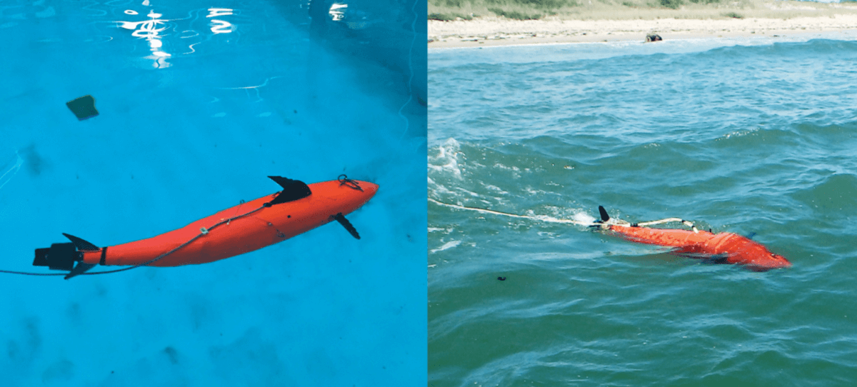 Imagine a robotic fish that defends against underwater threats - Boston ...