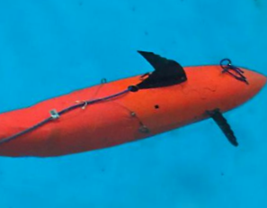 BIOSwimmer Unmanned Underwater Vehicle (UUV)